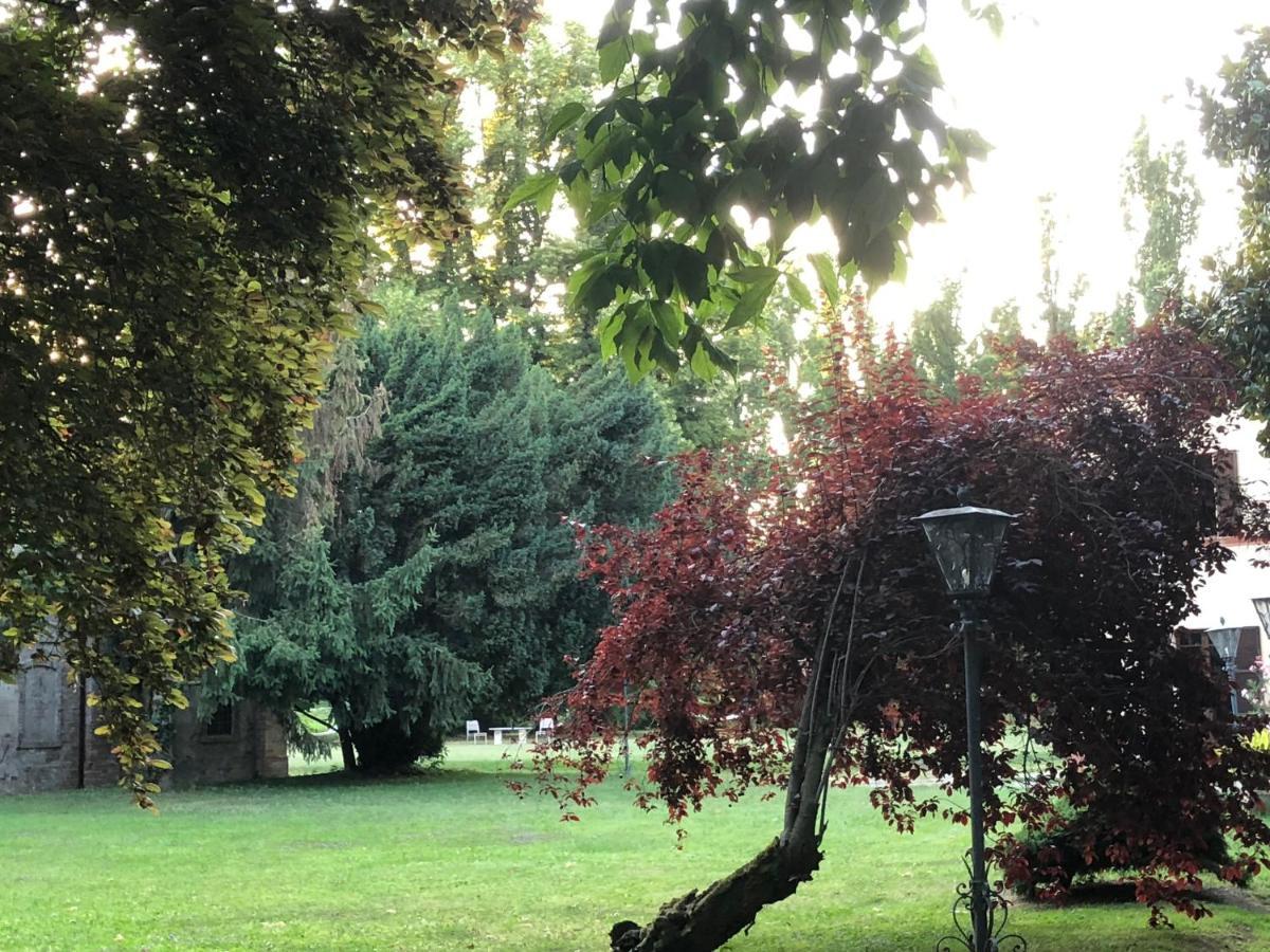 Villa Dom بياتشينسا المظهر الخارجي الصورة
